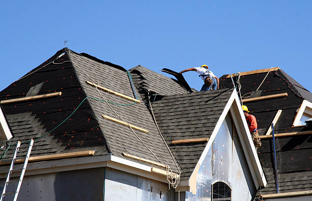 Best Local Roofing Companies  in Newport, VT